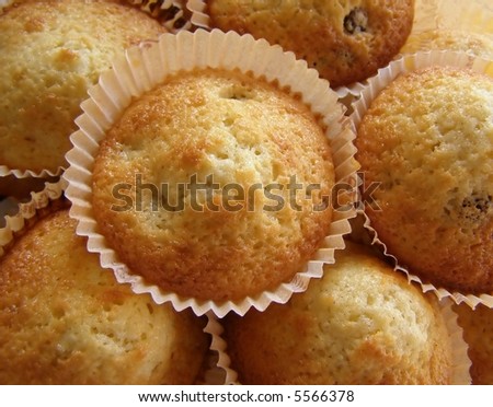 Several muffin cakes in paper forms as a background