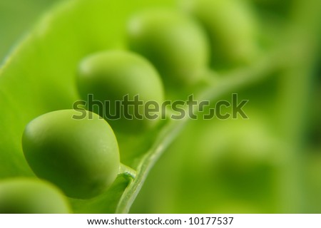 close-up of green peas in a pea pod