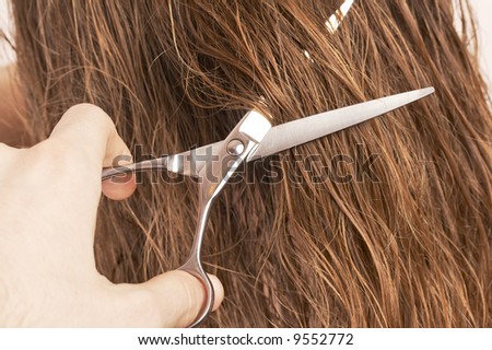 man hairdresser cutting woman\'s hair, beauty salon