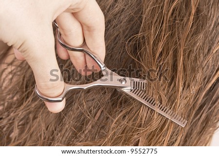 man hairdresser cutting woman\'s hair, beauty salon