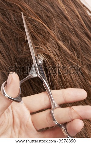man cutting long blond wet hair of a woman, beauty salon