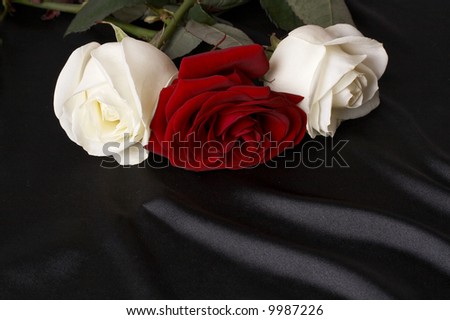 red and white roses on black satin