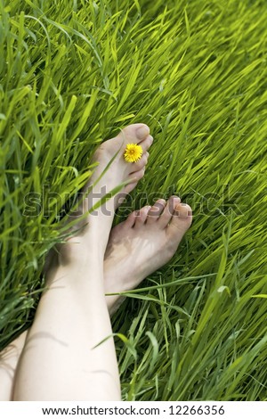 bare feet in green grass, woman relaxing in nature