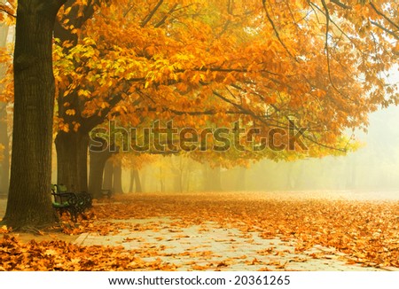 Beautiful autumn colors