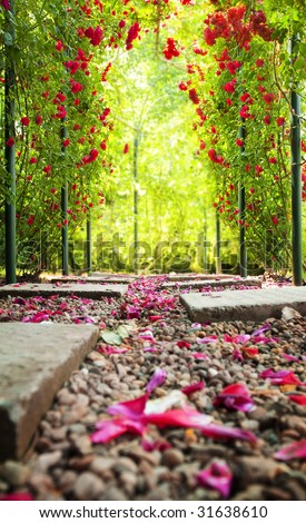rose arch in a garden