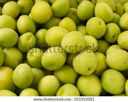 Heap group of many fresh green plum