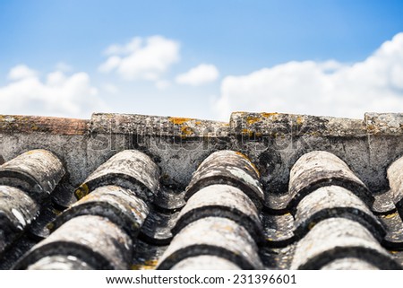 Old ceramic roof detail with sky in background.