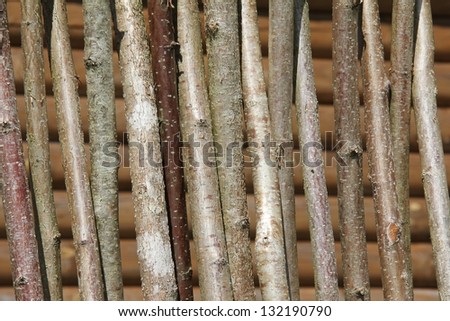 thick vertical wooden branches constituting a protective fence/Palisade
