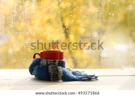red circle in the cozy warm scarf on the background of a wet window after the rain / autumn warming atmosphere