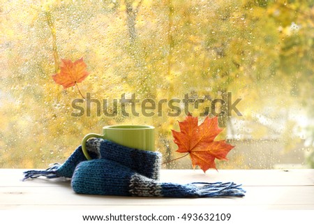 green circle in the scarf, the window with maple leaves and drops after rain in autumn / season when you need warm drinks