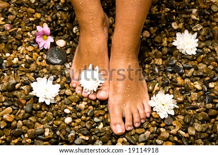bronzed wet feet on stones with flowers