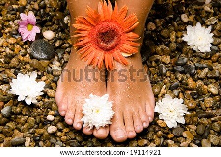 bronzed wet feet on stones with white, orange, pink flowers
