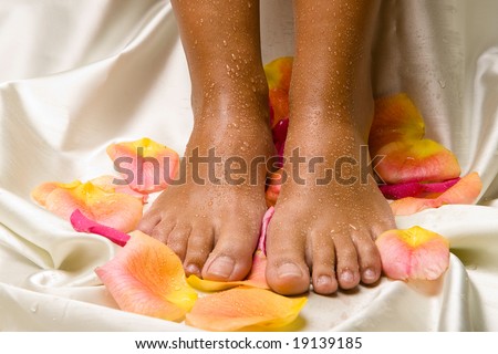 bronzed wet feet on the silk cloth with rose-petals