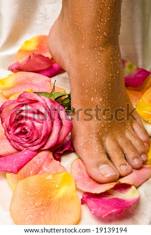 bronzed wet foot on the silk cloth with beautiful rose and rose-petals