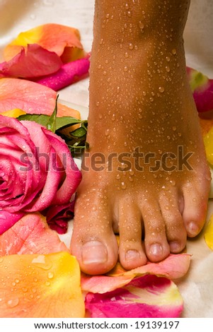 bronzed wet foot on the silk cloth with beautiful rose and rose-petals