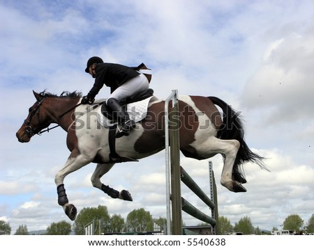 A horse well clear of the jump