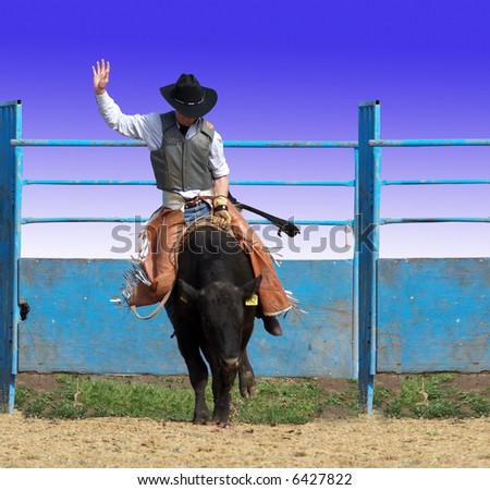Bull rider