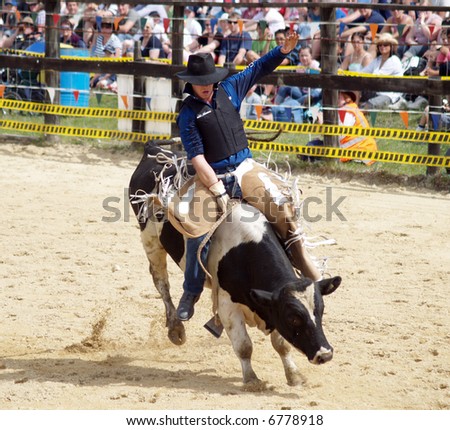 Bull Rider on Fresian Bull