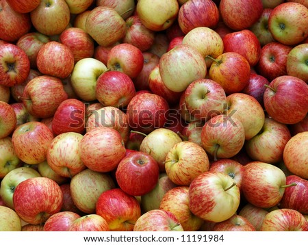 Fresh New Zealand Apples ready for Sale