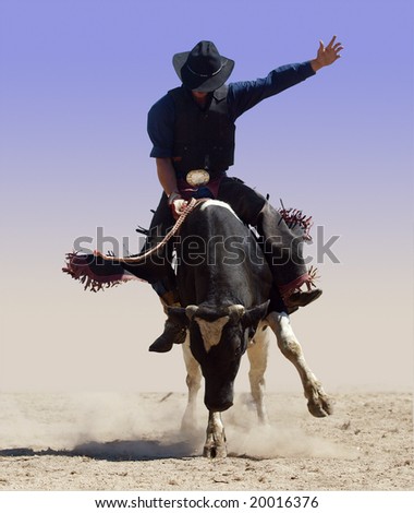 Bull rider isolated with clipping path