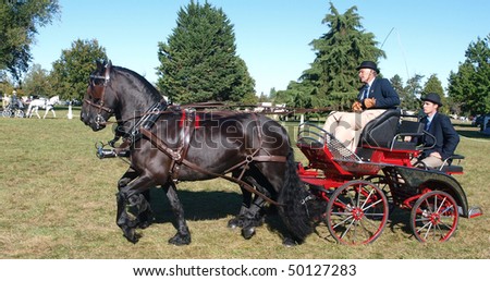 HASTINGS, NEW ZEALAND - MARCH 19: Pair of Carriage horses competing at the Horse of the Year March 19, 2010 in Hastings, New Zealand.