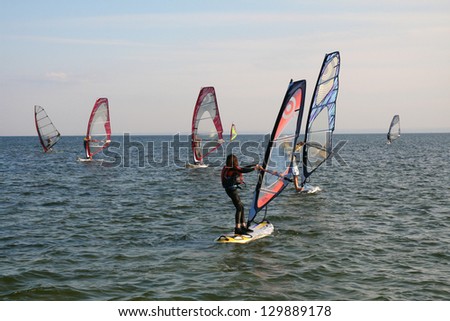 School windsurfing in the bay Halupy Puck, Poland