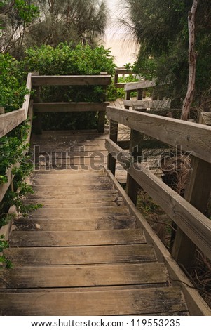 Old wooden stairs in forest with fresh green leaves, diagonal lines and light at the end of stairs