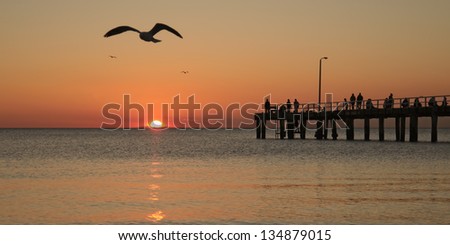 Fishing on wooden pier in calm water at sunset with people silhouettes seagulls and sun