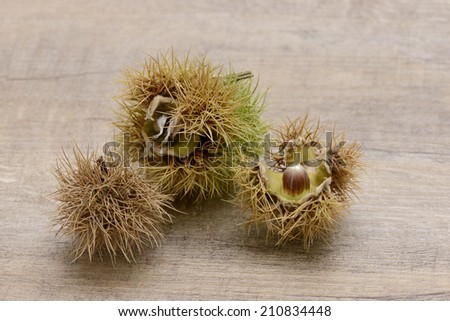 Sweet chestnut lying on wood