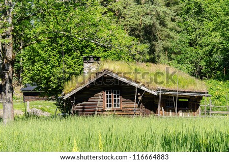 Old log house with grass growing on roof
