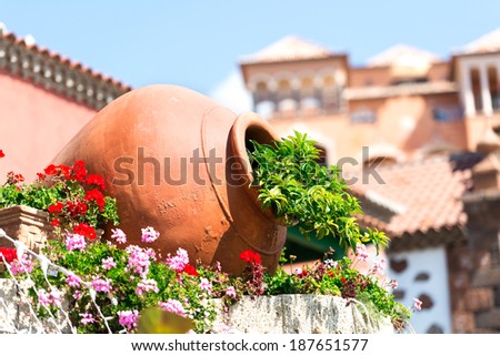 Decorative clay pot with herbs
