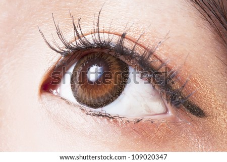 Closeup of Female eye with brown contact lenses macro