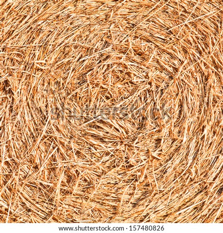 Closeup of  bale\'s of hay texture spiral as a rural background concept. Square crop