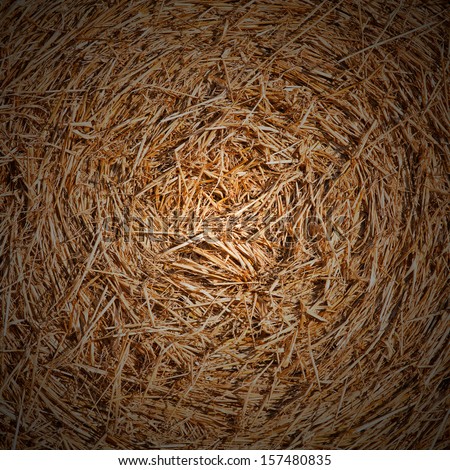 Closeup of  bale\'s of hay texture spiral as a rural background concept. Square crop with dark vignetting effect