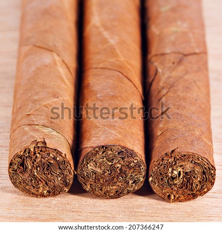 Macro closeup texture of genuine Cuban cigars cut