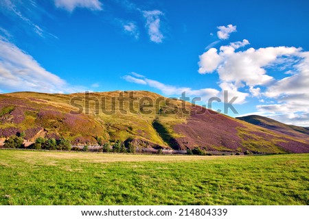 Colorful landscape scenery of hill slope covered by violet heather flowers and green valley, river, mountains and cloudy blue sky on background. Pentland hills, Scotland