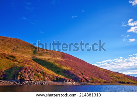 Colorful landscape scenery of hill slope covered by violet heather flowers and green valley, mountains and cloudy blue sky on background. Pentland hills, Scotland