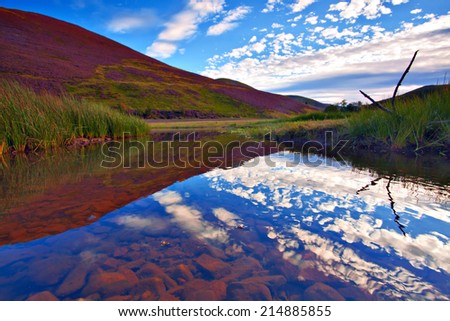 Colorful landscape scenery of hill slope covered by violet heather flowers, green valley, mountains and cloudy blue sky on background. Pentland hills, Scotland