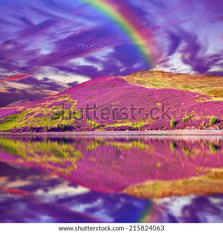 Colorful landscape scenery of rainbow over hill slope covered by purple heather flowers and dramatic cloudy sky reflected in the water. Pentland hills, Scotland