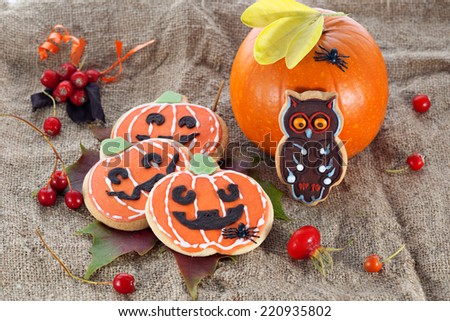 Closeup of Halloween decor pumpkin cookies and assorted pumpkins. Popular American event party decorative dessert idea.