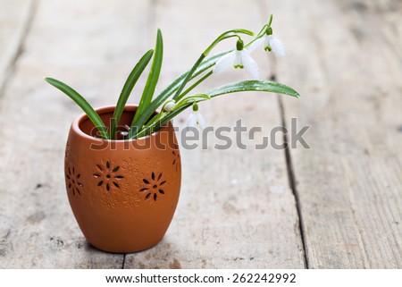 Spring bunch of snowdrop flowers in small clay vase on wooden floor