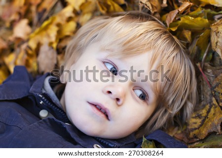 Small blond boy with blue eyes lays on bed of autumn fallen leaves