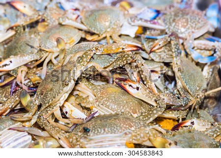 Fresh crabs on ice exposition at the seafood market In Thailand. Display of raw flower crab catch of the day