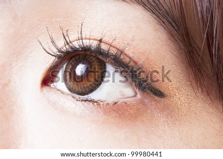 Closeup of Female eye with brown contact lens. Macro with details