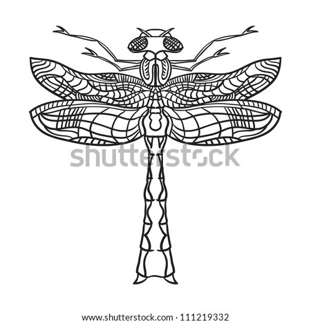 Outline Of Dragonfly