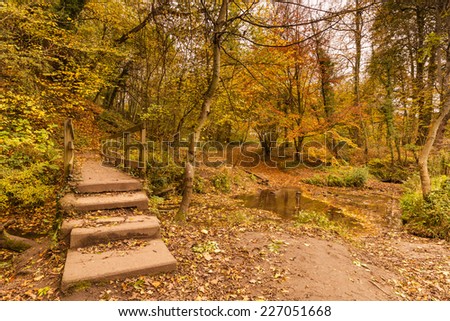 Plessey Woods trail over footbridge / Plessey Woods Country Park is located in south Northumberland and is particularly rich in colour during autumn with the River Blyth running through it