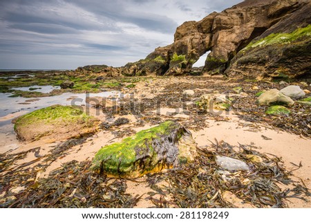 Low tide at Saddle Rocks / Saddle Rocks at Cullercoats, Whitley Bay here at low tide showing the seaweed, rocks and sand