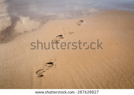 Footsteps in the sand / Human footprints in the sand leading into and covered by the sea