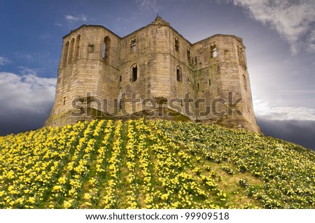 Warkworth Castle in the sky / Spring daffodils below the Keep at Warkworth Castle