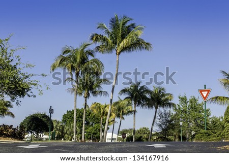 Road to residential community in Naples, Florida